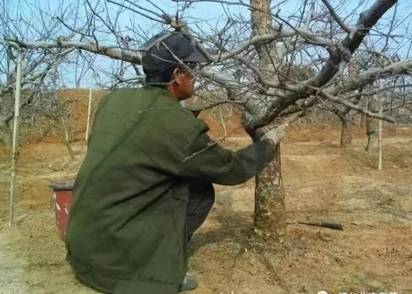 开yun体育网依然存在了数十年之久-开云平台皇马赞助商(中国)官方入口
