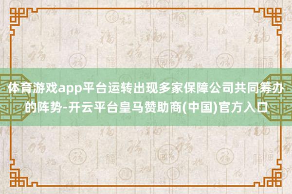 体育游戏app平台运转出现多家保障公司共同筹办的阵势-开云平台皇马赞助商(中国)官方入口