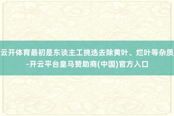 云开体育最初是东谈主工挑选去除黄叶、烂叶等杂质-开云平台皇马赞助商(中国)官方入口