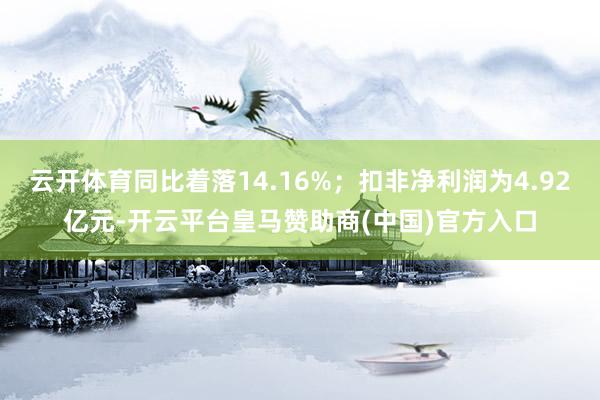 云开体育同比着落14.16%；扣非净利润为4.92亿元-开云平台皇马赞助商(中国)官方入口