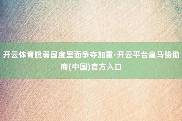 开云体育脆弱国度里面争夺加重-开云平台皇马赞助商(中国)官方入口