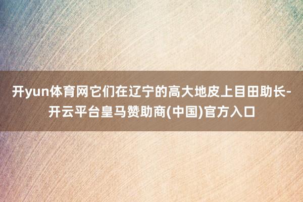 开yun体育网它们在辽宁的高大地皮上目田助长-开云平台皇马赞助商(中国)官方入口