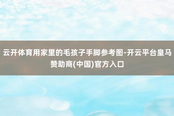 云开体育用家里的毛孩子手脚参考图-开云平台皇马赞助商(中国)官方入口